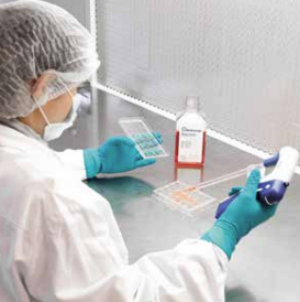 Cell Culture Media
